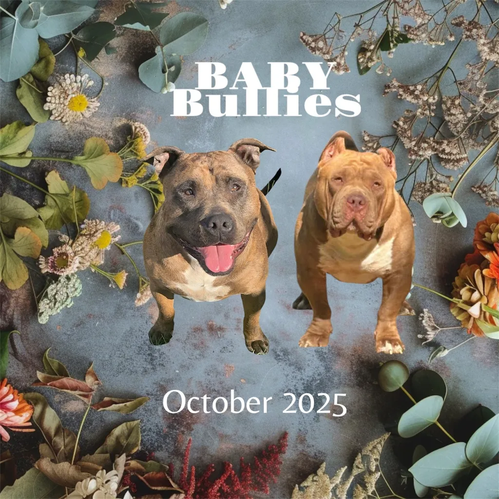 Mariage TaÏro × Luna