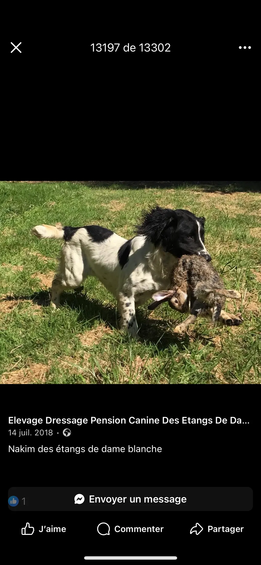 Nakim Des Etangs de Dame Blanche