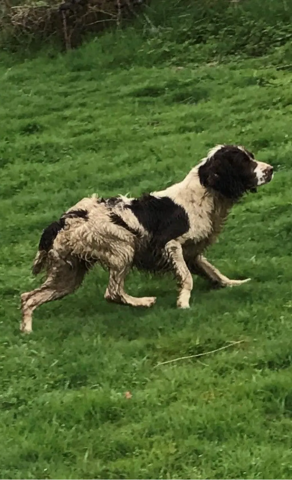 Louna de Pontcoat-Kalloch